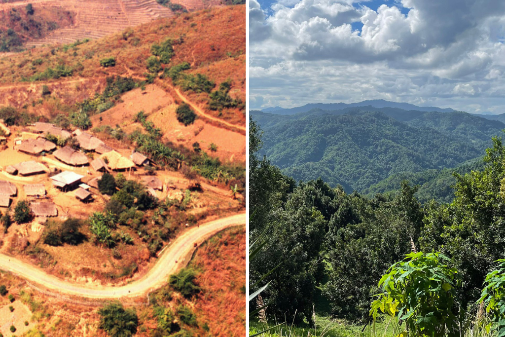 Doi Tung 30 years ago